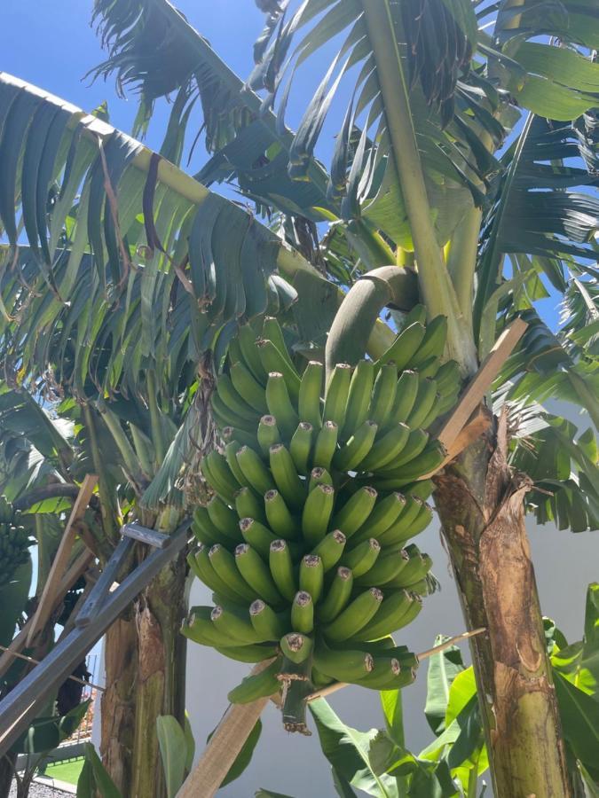 King'S Paradise Estreito Da Calheta Esterno foto